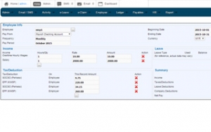 guides payroll payslip